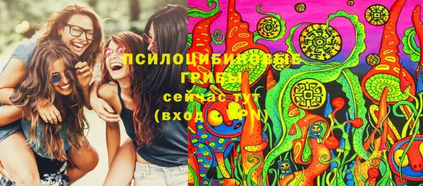 2c-b Богданович